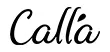 Calla Camisole Leotard Chantal